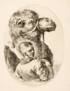 Boy holding a camel by the bridle, from Plusieurs Têtes Coiffées à la Persienne, pub. c. 1650