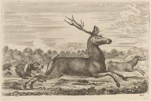Deer Chased by Two Dogs to the Left by Stefano della Bella
