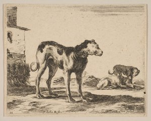 Plate 11: dogs, from Various animals Diversi animali, ca. 1641 by Stefano della Bella