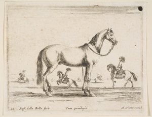 Plate 21: Horse, from Various Animals by Stefano della Bella