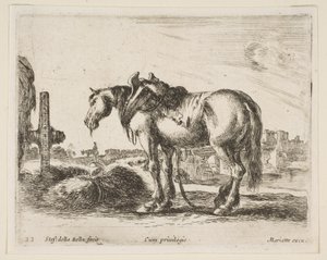Plate 22: cart horse, from Various animals Diversi animali by Stefano della Bella