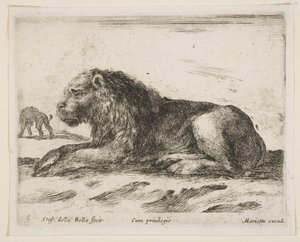 Plate 5: Reclining Lion, from Various Animals by Stefano della Bella