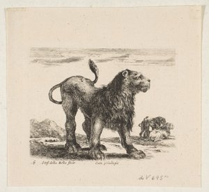 Plate 6: Lion from 