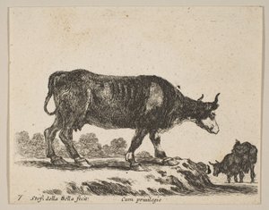 Cow, from Various Animals by Stefano della Bella