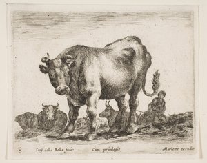 Plate 8: cow, from Various animals Diversi animali by Stefano della Bella