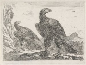 Two Eagles with Heads to the Right by Stefano della Bella