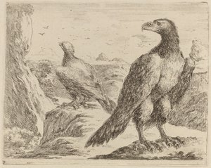 Two Eagles, Both with Heads Turned to the Left by Stefano della Bella