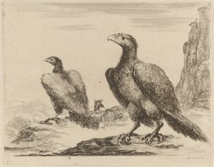 Two Eagles, Both with Heads Turned to the Left, On a High Cliff by Stefano della Bella