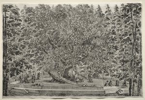 Views of the Villa of Pratolino: The Inhabited Tree