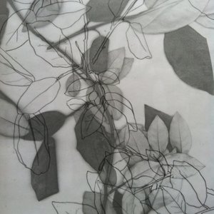 Botanical by Stephen Dow