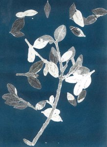Midnight Garden II