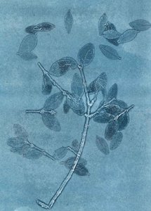 Midnight Garden I