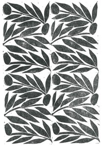 Olive Branches, 2015 by Stephen Dow