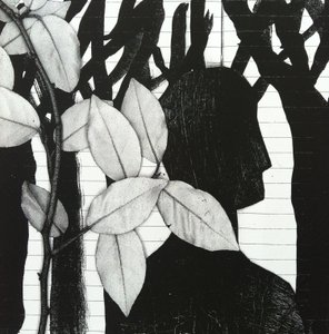The Woods by Stephen Dow