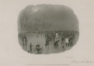 Skating on the Serpentine, Hyde Park, London by Stephen Pearce