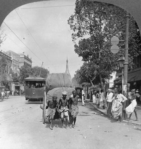 Dalhousie Street, Busiest in the City, Rangoon, Burma, 1908 by Stereo Travel Co