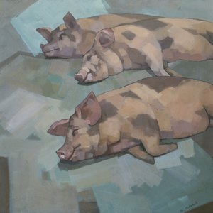 Three Sleeping Pigs
