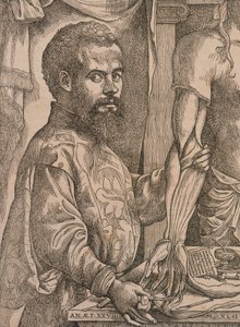 Andreas Vesalius dissecting the muscles of the forearm of a cadaver by Steven van Calcar