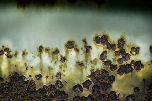 Weathered Green Rust by Studio Meikle