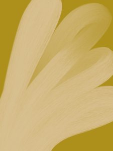 Abstract Golden Flow