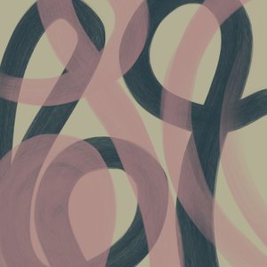 Flowing Abstract Curves by Studio Palette