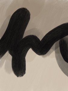 Flowing Black Curve