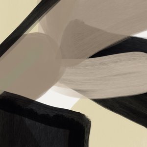 Flowing Neutral Shapes