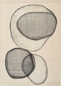 Fluid Abstract Forms by Studio Palette