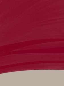 Maroon Color Field by Studio Palette