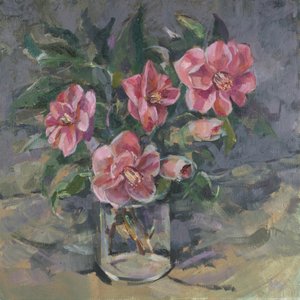 Camelias