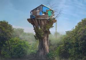 Misty Jungle Treehouse by Sulaiman Almawash