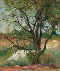 The Tree