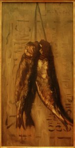 Herring