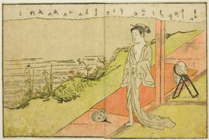 Double-page Illustration from Vol. 1 of "Picture Book of Spring Brocades"