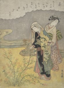 The Bush Clover Hagi