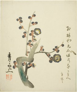 Blossoming Red Plum Branch by Suzuki Kiitsu
