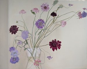 Glorious Scabious, 2021