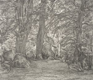 Forest Scene from Falster by Svend Hammershøi