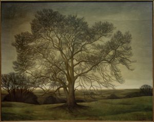 Landscape 1901