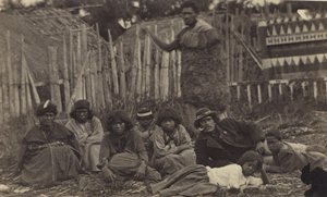 In Pawhakiro Pa, Hawkes Bay, New Zealand, c.1865 by Swan and Wrigglesworth