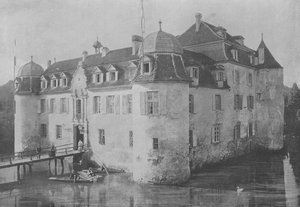 Chateau de Bottmingen, pres Bale by Swiss Photographer
