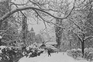 Neuchatel, The English Garden by Swiss Photographer