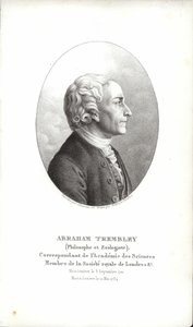 Abraham Trembley by Swiss School