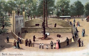 Bern, Bear Garden by Swiss School