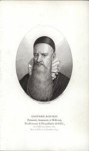 Gaspard Bauhin by Swiss School