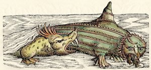 Sea Creatures, Illustration from 