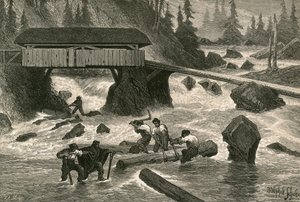Wood-Floaters by Swiss School