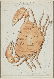 Cancer, Illustration from 