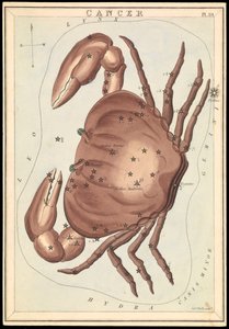 Cancer, c.1825