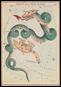 Draco and Ursa Minor by Sydney Hall
